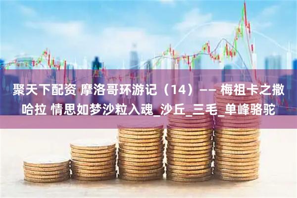 聚天下配资 摩洛哥环游记（14）—— 梅祖卡之撒哈拉 情思如梦沙粒入魂_沙丘_三毛_单峰骆驼