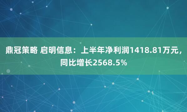 鼎冠策略 启明信息:上半年净利润1418.81万元,同比增长2568.5%