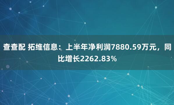 查查配 拓维信息:上半年净利润7880.59万元,同比增长2262.83%