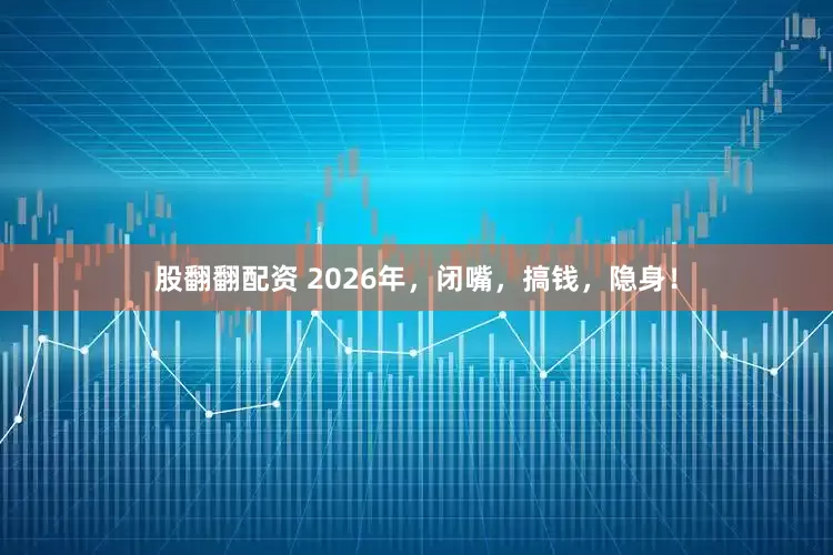 股翻翻配资 2026年，闭嘴，搞钱，隐身！